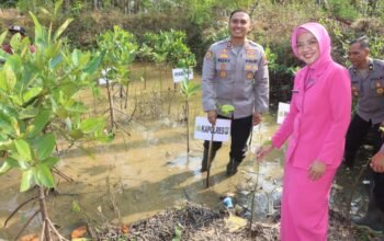 Implementasi Ecology Policing, Polres Trenggalek Tanam Mangrove dan Lepas 100 Tukik