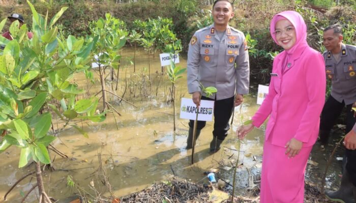 Implementasi Ecology Policing, Polres Trenggalek Tanam Mangrove dan Lepas 100 Tukik