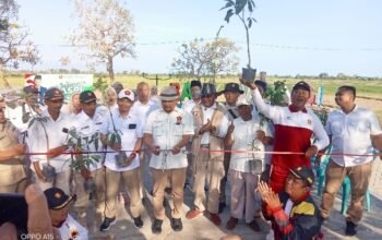 Gerindra Banyuwangi Tanam 1.000 Pohon, Semarakkan HUT ke-75 Prabowo Subianto
