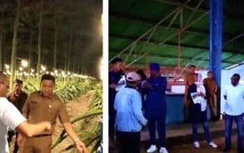 Kopi dan Buah Naga Banyuwangi Dibidik Nigeria, Berpeluang Tembus Pasar Afrika